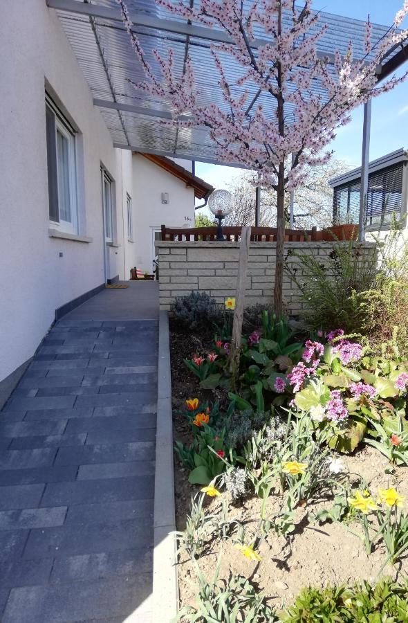 Ferienhaus Rauwolf Mit 2 Ferienwohnungen Roschbach Kültér fotó
