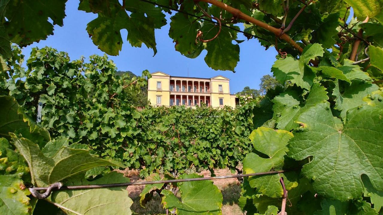 Ferienhaus Rauwolf Mit 2 Ferienwohnungen Roschbach Kültér fotó